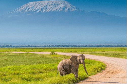 Kenya Safari + Villa avec piscine privée