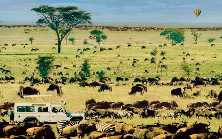 Combiné Safari Tanzanie & Zanzibar en villa avec piscine privée